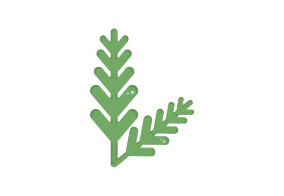 Pine Branch Illustration Art for Graphics and Illustrations
